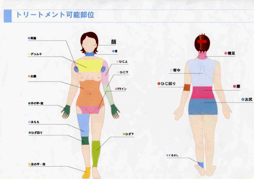 トリートメント可能部位